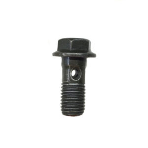 Brake Hose Banjo Bolt - M10 x 22mm